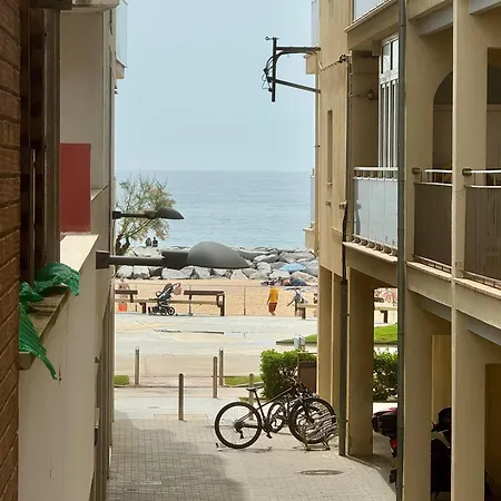 Apartment Petit Paradis *